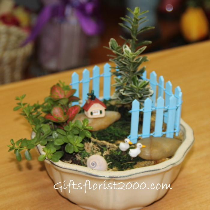 Little Red House Miniature Garden-MG9