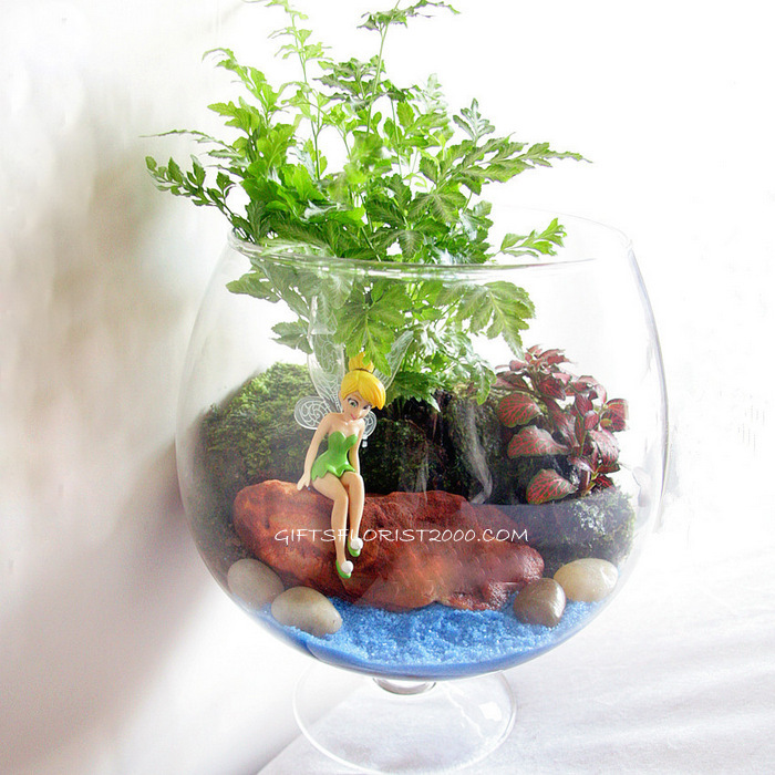 Animation Tinkerbell Terrarium-MG10