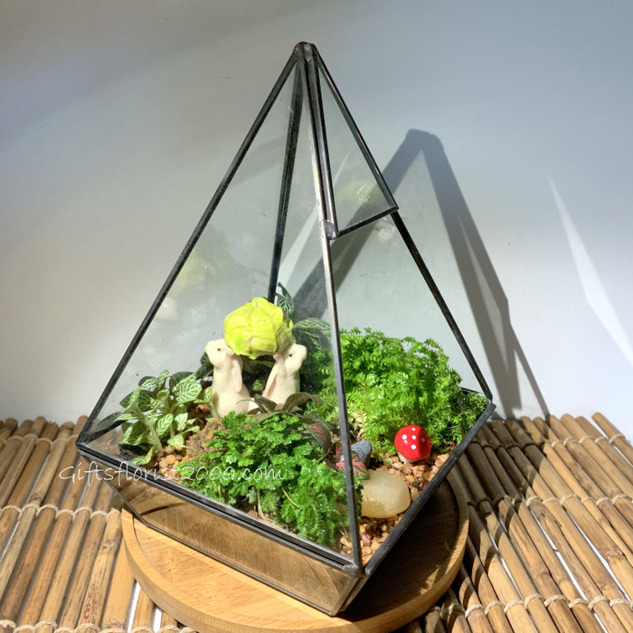 Geometric Vase Miniature Garden-MG13