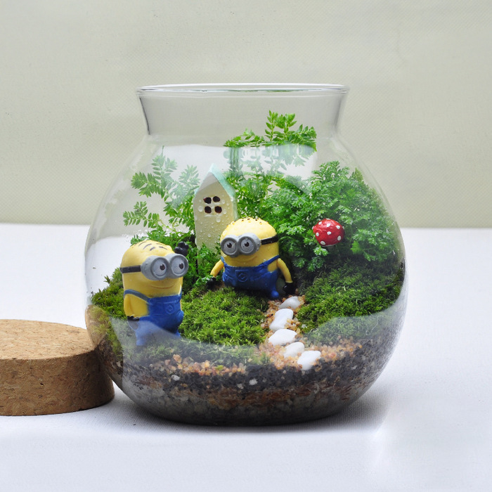 Minions Miniature Garden Terrarium-MG16