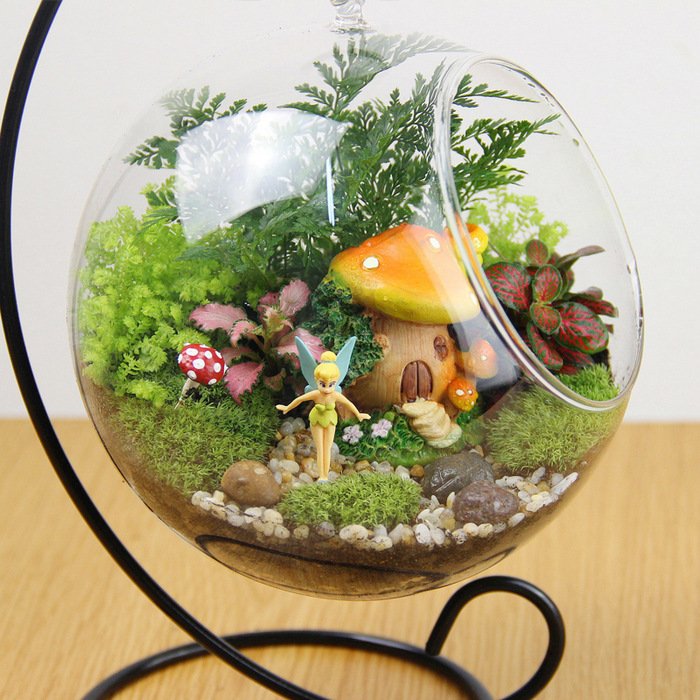Fairy Mushroom Globe Terrarium-MG24