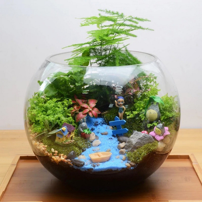 Big Glass Vase Open Terrarium-MG25