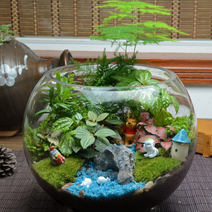 Big Glass Vase Open Terrarium-MG25