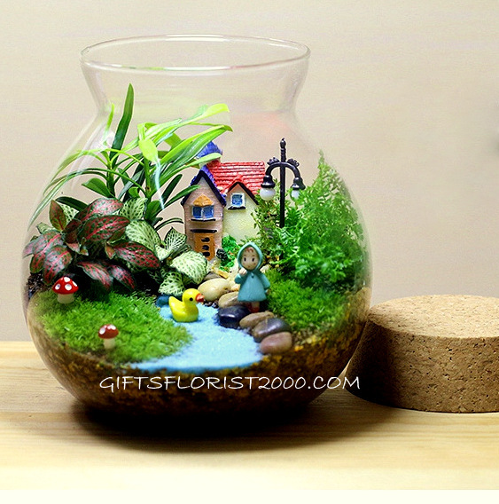 Home Sweet Home Glass Terrarium-MG26