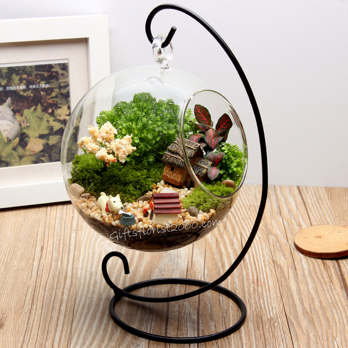 Puppy House Terrarium-MG28