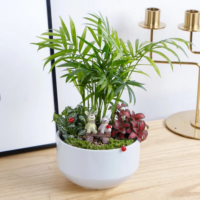 Lush Green Miniature Garden-MG35