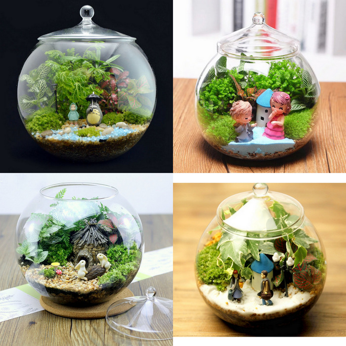 Enclosed Glass Vase Terrarium-MG36