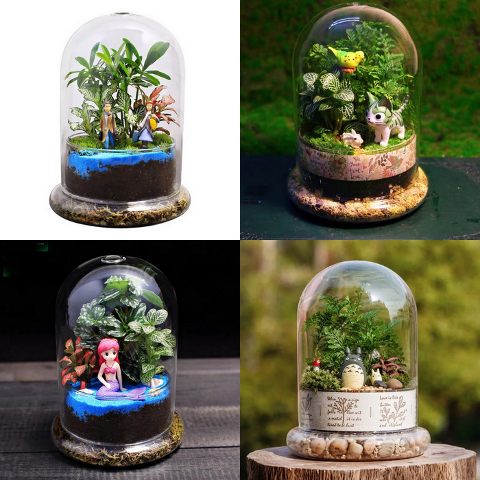 Best For Indoor Enclosed Terrarium-MG38