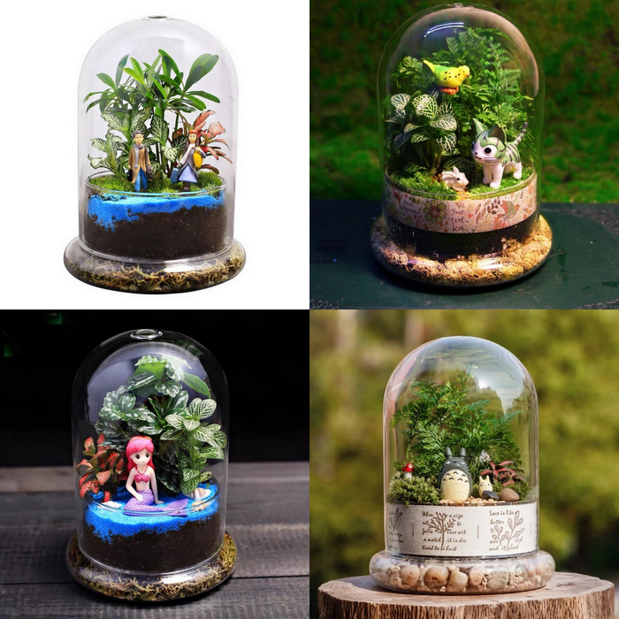 Indoor Enclosed Terrarium-MG38