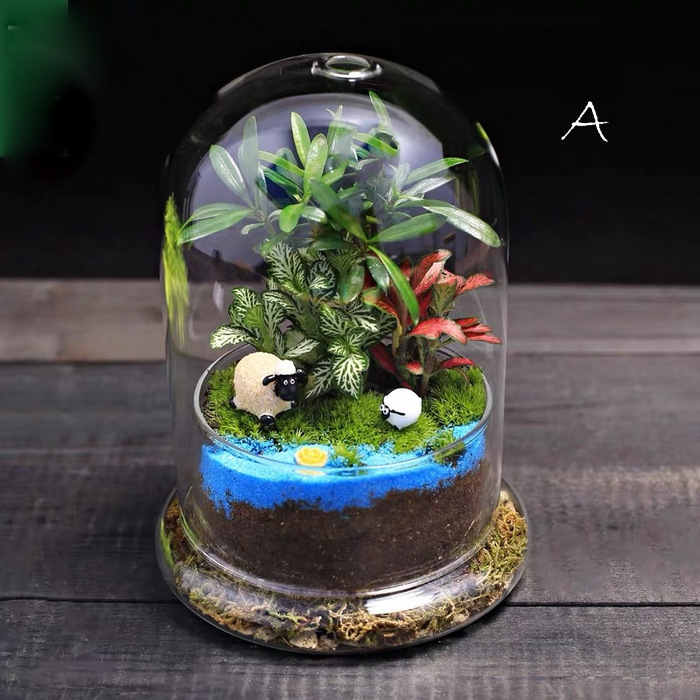 Indoor Enclosed Terrarium-MG38