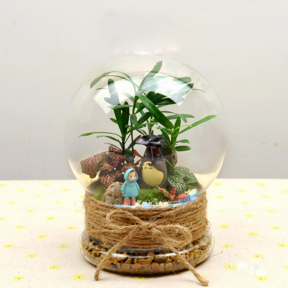 EcoSphere Dome Enclosed Terrarium-MG39