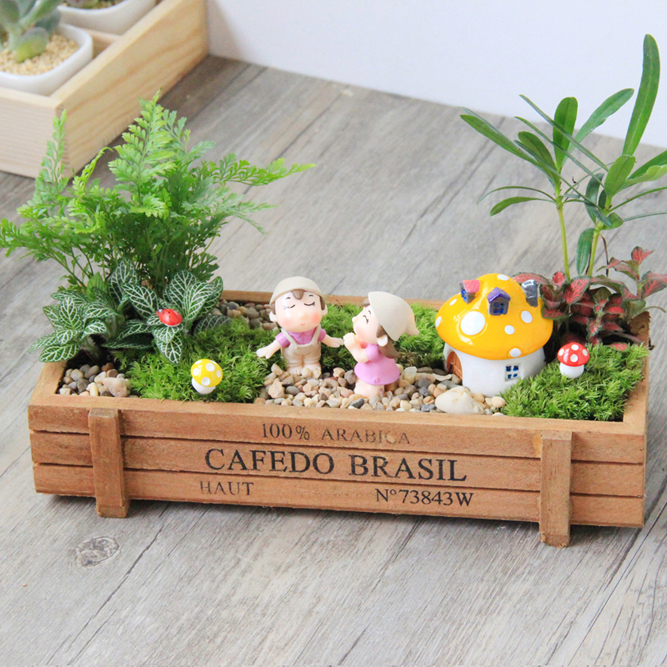 Romantic Plants Gift 4-Couple Fairy Garden