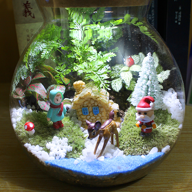 Christmas Edition Enclosed Terrarium