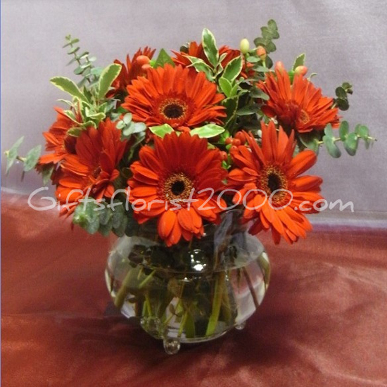 Orange Gerbera Centerpiece-VF7