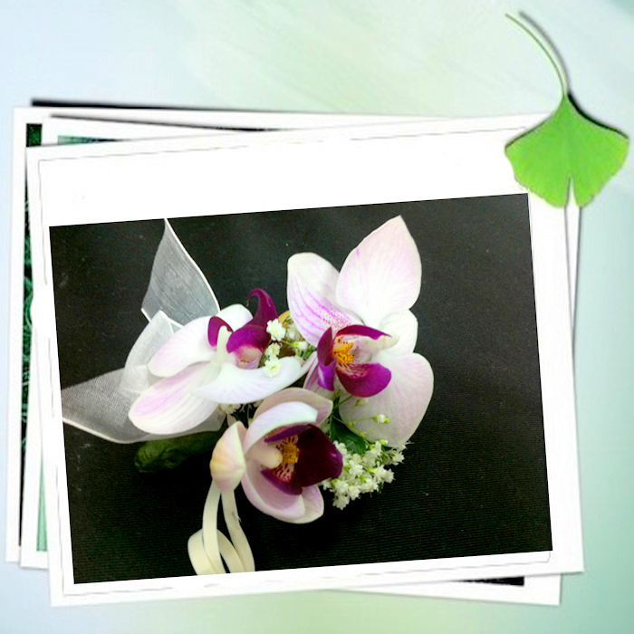 Wristlet 19-Phalaenopsis Orchid White